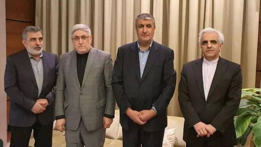 Iranpress: Head of Atomic Energy Organization of Iran Arrives in Vienna