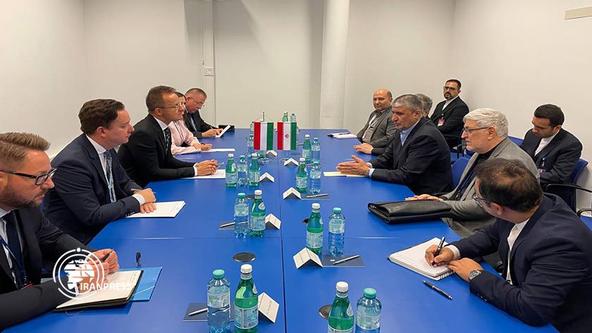 Iranpress: Head of AEOI, Hungarian FM Meet in Vienna