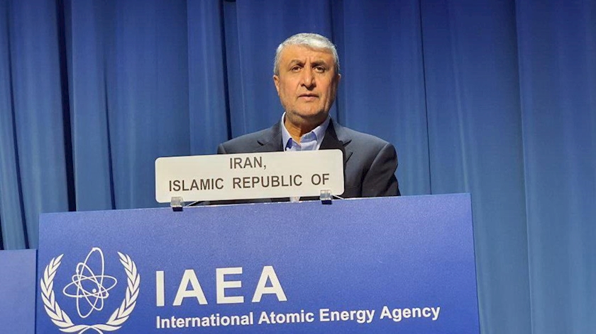 Iranpress: More Than 20% of IAEA 2023 Inspections Were in Iran: Eslami