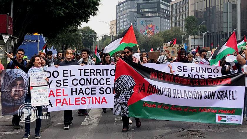 Iranpress: Picture: Supporters of Palestine March in Mexico 