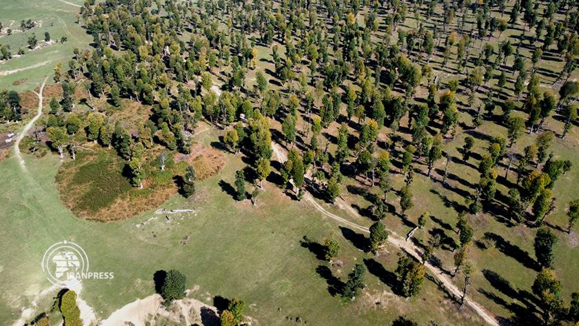 Iranpress: Markouh Plain: A Stunning Tapestry of Nature in Golestan