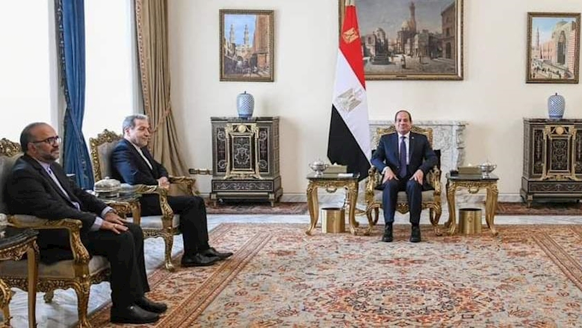 Iranpress: Iran’s Foreign Minister Meets Egypt’s President in Cairo to Address Regional Conflict