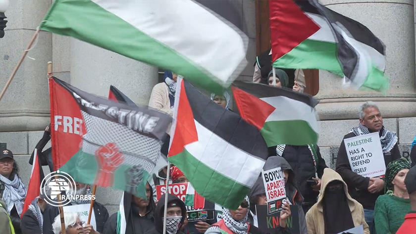 Iranpress: Rally in front of the Cape Town High Court in support of Palestine