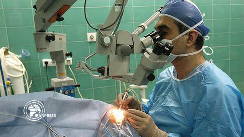 Iranpress: Iran Gains Global Recognition as Eye Care Destination