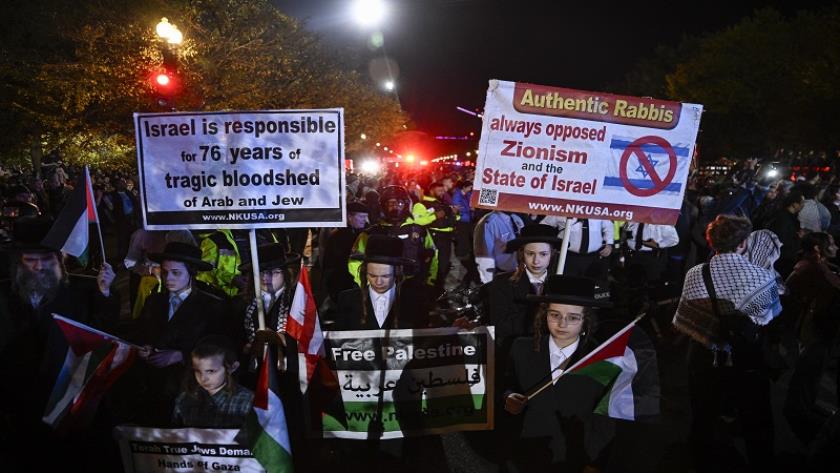 Iranpress: Pro-Palestine Protesters Outside Kamala Harris Rally