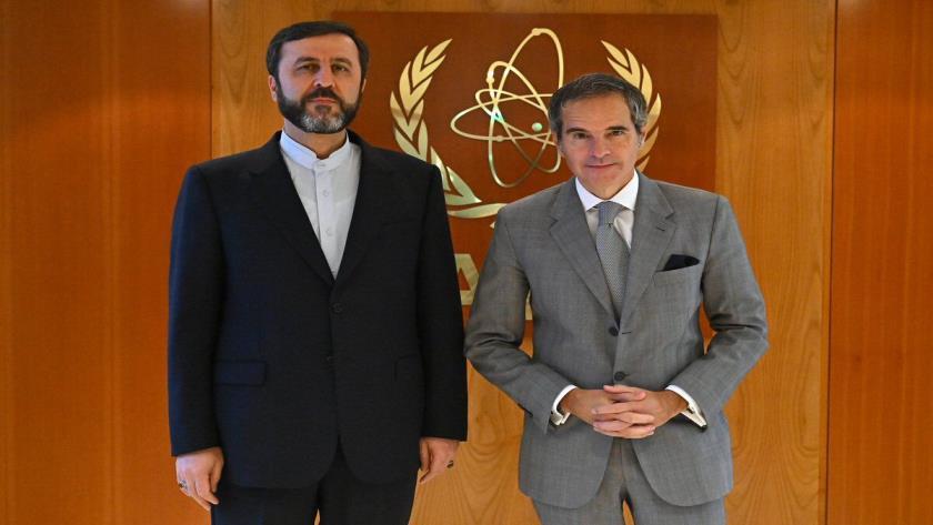 Iranpress: IAEA Chief Meets Iran’s Deputy FM