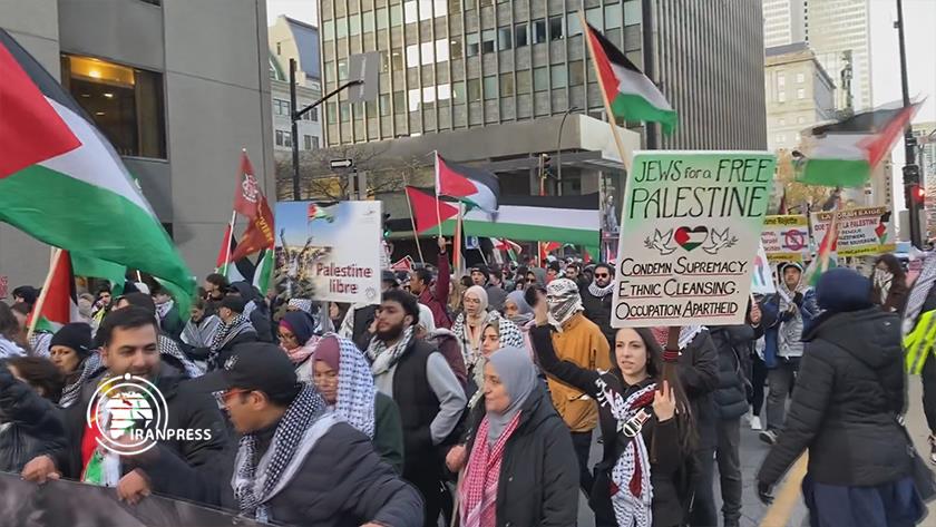 Iranpress: Pro-Palestinian Rally Staged in Canada