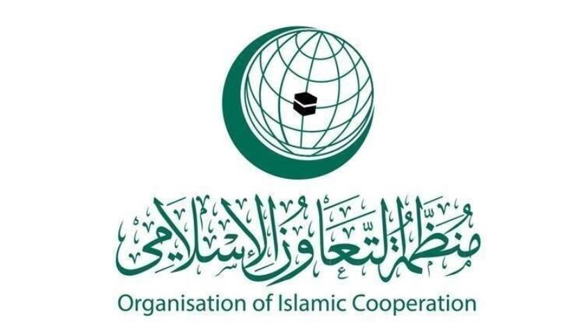 Iranpress: Islamic Organization Condemns Israeli Aggression on Iran