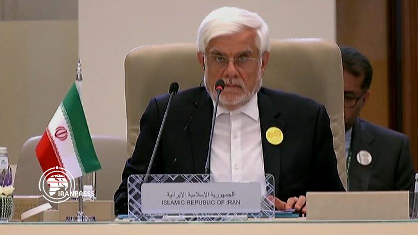 Iranpress: Muslim World Shouldn