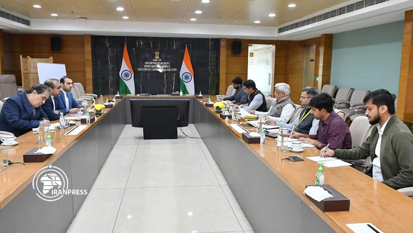 Iranpress: Iranian Ambassador Meets with Indian Commerce Minister