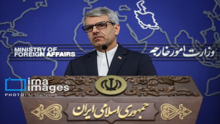 Iranpress: The International Community Should End Genocide in Palestine