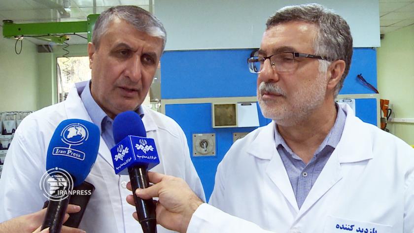 Iranpress: AEOI Meets Iran