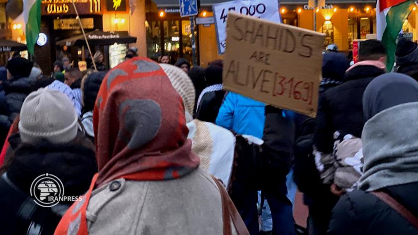 Iranpress: Pro-Palestinian Demonstrators Stage Rally in Berlin