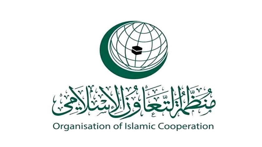 Iranpress: OIC Condemns Attack, Burning of Kamal Adwan Hospital in Gaza