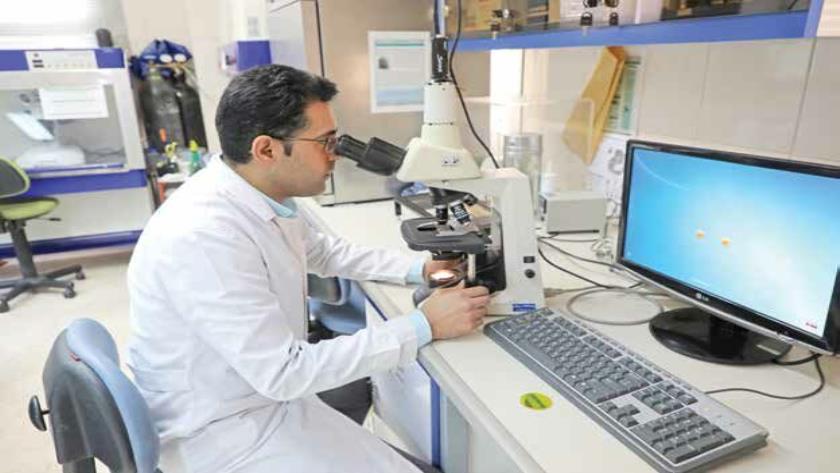 Iranpress: Iranian Researchers Create Oxygen-Releasing Microneedle Patch