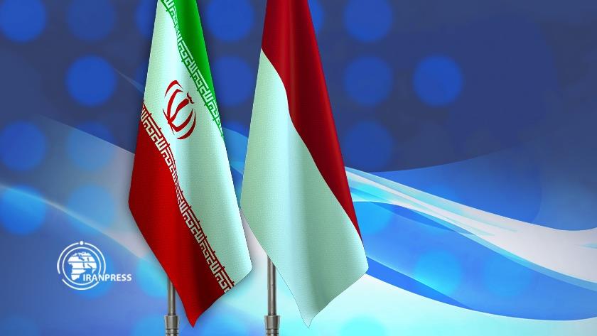 Iranpress: Iran, Indonesia Discuss Strengthening Cultural Ties