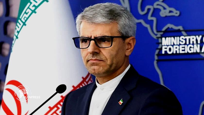 Iranpress: Iran Condemns France