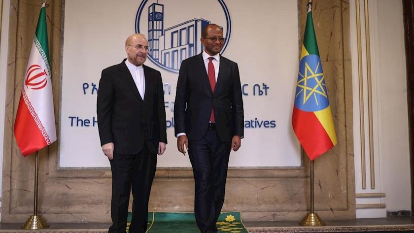 Iranpress: Qalibaf: Iran Ready to Expand Collaboration with Ethiopia 