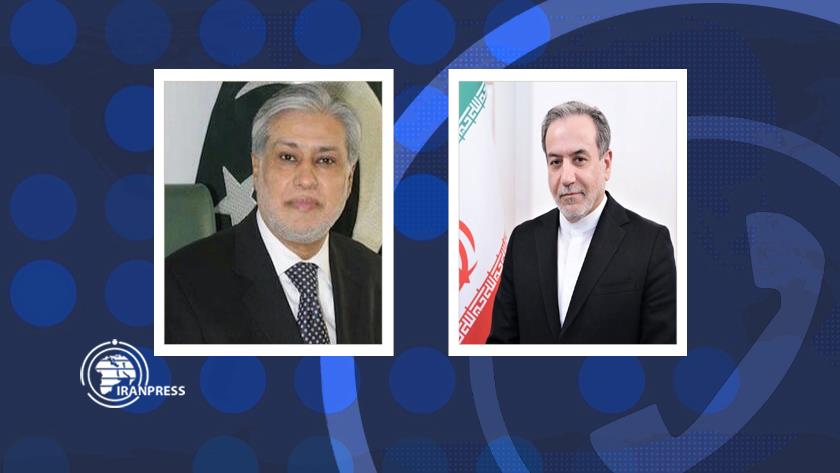 Iranpress: Iran, Pakistan Unite Over Gaza Crisis