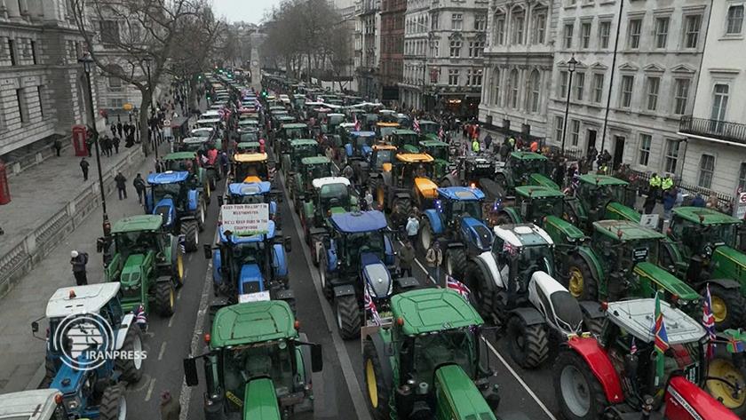 Iranpress: Farmers