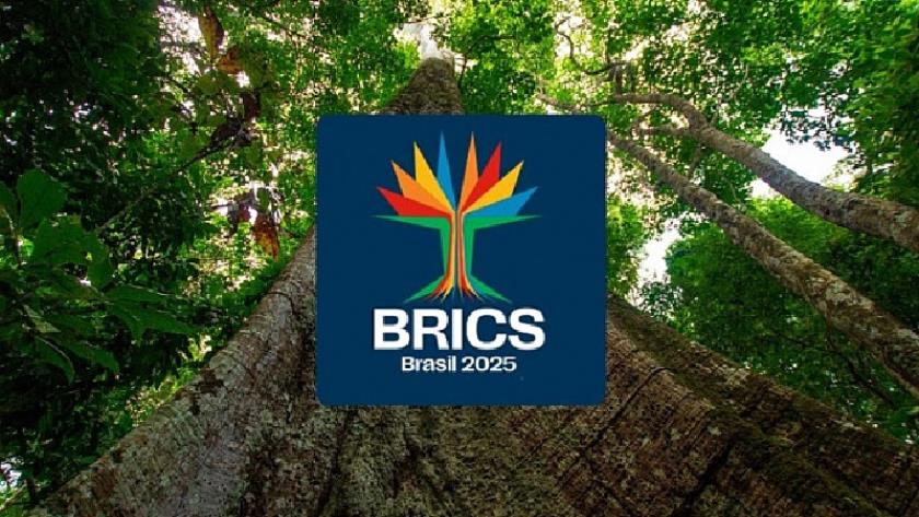 Iranpress: Brazil Announces BRICS Chairmanship Priorities for 2025