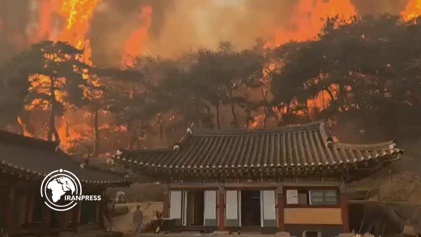 Iranpress: South Korea; 1,000-Year-Old Temple Destroyed by Wildfire 