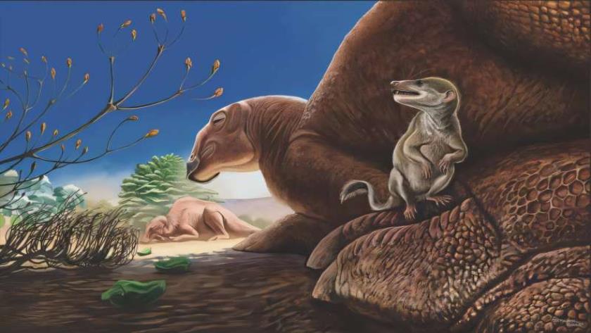 Iranpress: Ravjaa ishiii, Dinosaur Fossil Discovered in Tibetan Plateau 