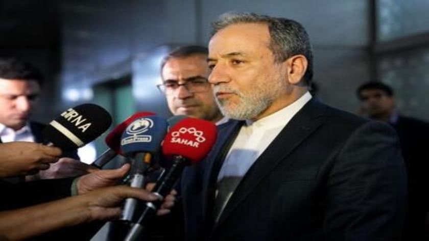 Iranpress: FM Araghchi in India: Economic Cooperation on Agenda