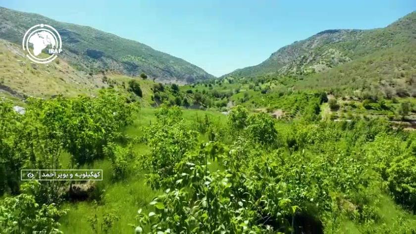 Iranpress: Vibrant Nomadic Culture of Iran