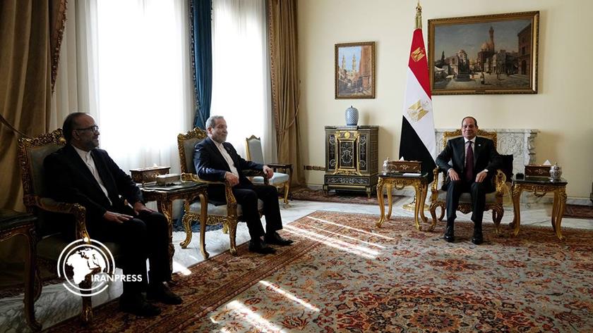 Iranpress: Iranian FM’s Strategic Dialogue with Egypt’s President