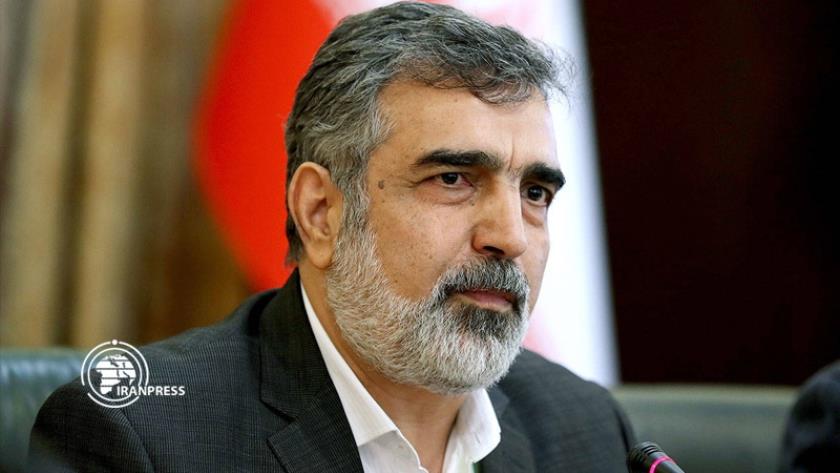 Iranpress: Limited Cooperation; Iran Warns IAEA Over Politicized Approach