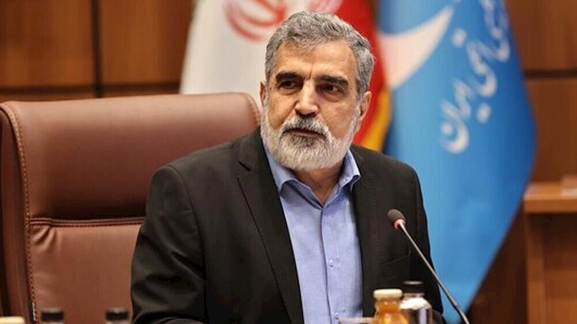Iranpress: AEOI Spokesman: Damage at Natanz is Minimal, Criticizes IAEA