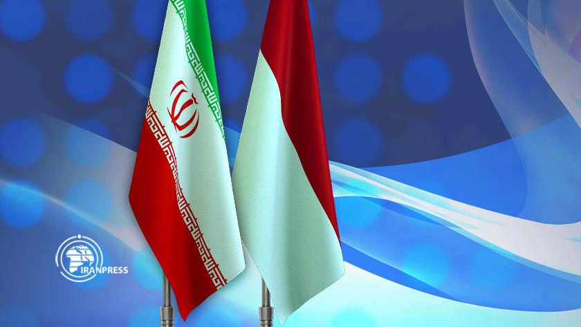 Iranpress: Indonesia Condemns Israeli Attack on Iran, Warns of Regional Escalation