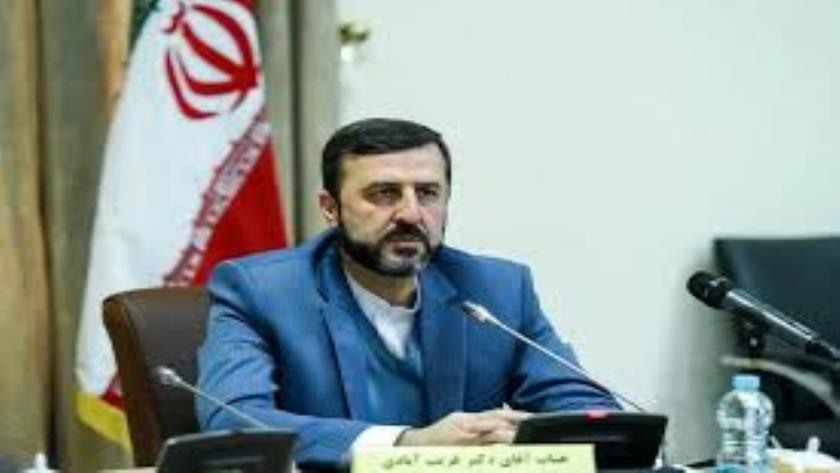 Iranpress: Gharibabadi: All Options Are on the Table