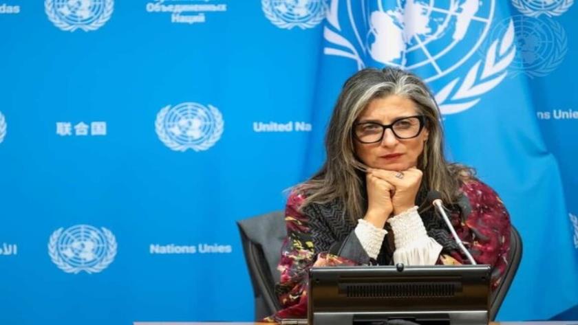 Iranpress: UN Report: Over 60 Companies Support Israeli War on Gaza
