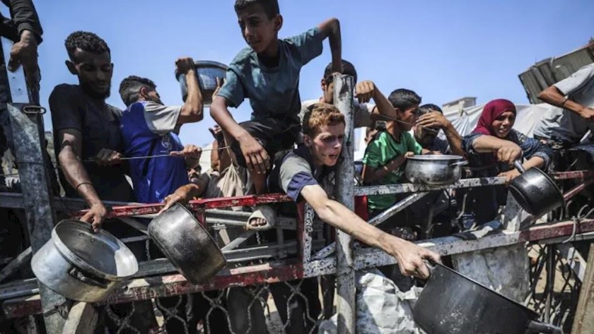 Iranpress: Gaza Hunger Crisis Victims Reach to 111 People