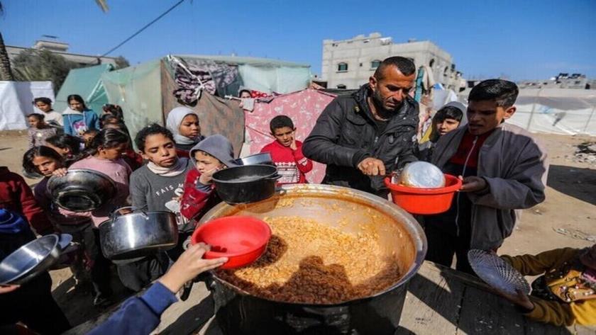Iranpress: Western Momentum Builds to Recognize Palestine as Gaza Death Toll Soars
