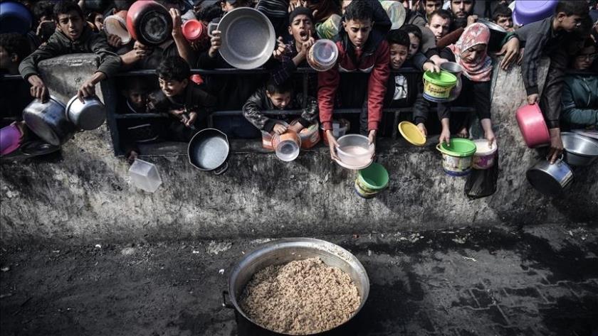 Iranpress: Only 14% of Humanitarian Aid Allowed into Gaza