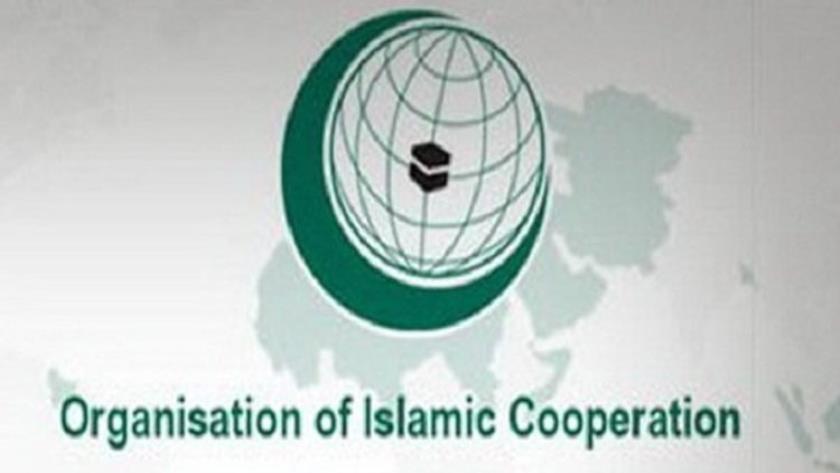 Iranpress: OIC warns: Israel’s Occupation of Gaza Is “War Crime"