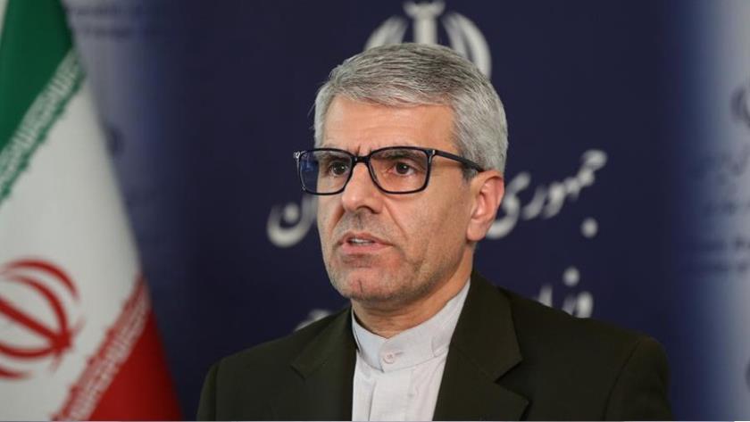 Iranpress: Iranian MFA Spokesman Says SCO Significant to Safeguarding Multilateral World Order