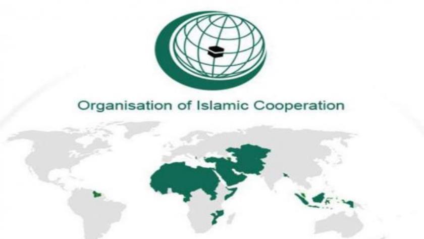 Iranpress: Doha to Host Emergency Arab-Islamic Summit in Response to Israeli Airstrike