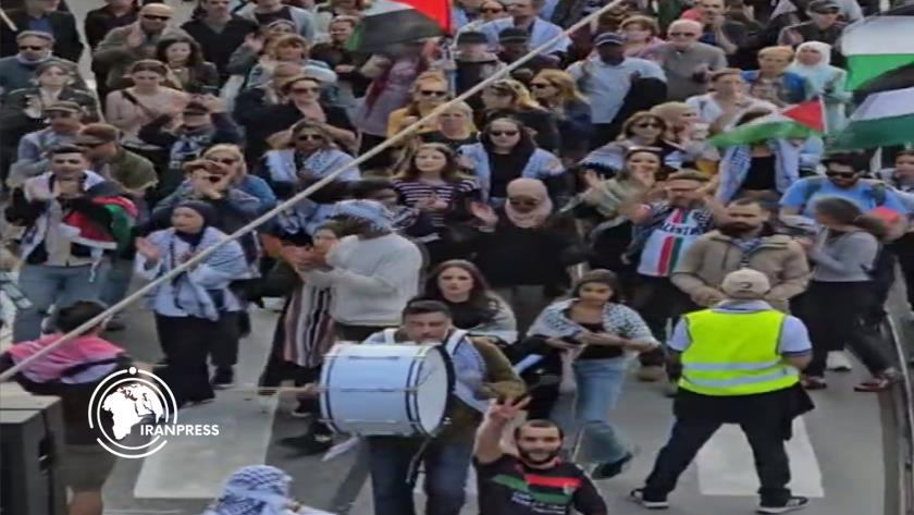 Iranpress: Swedish People Stand With Gaza