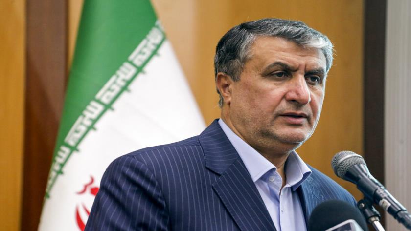 Iranpress: Iran Urges IAEA to Condemn Israel Attacks on Its nuclear Sites