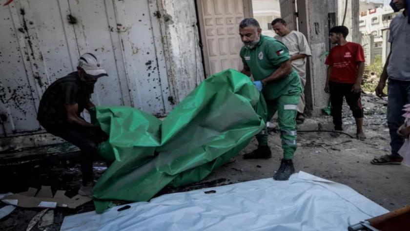 Iranpress: 78 People Killed in Gaza Today as Israel Expands Occupation 
