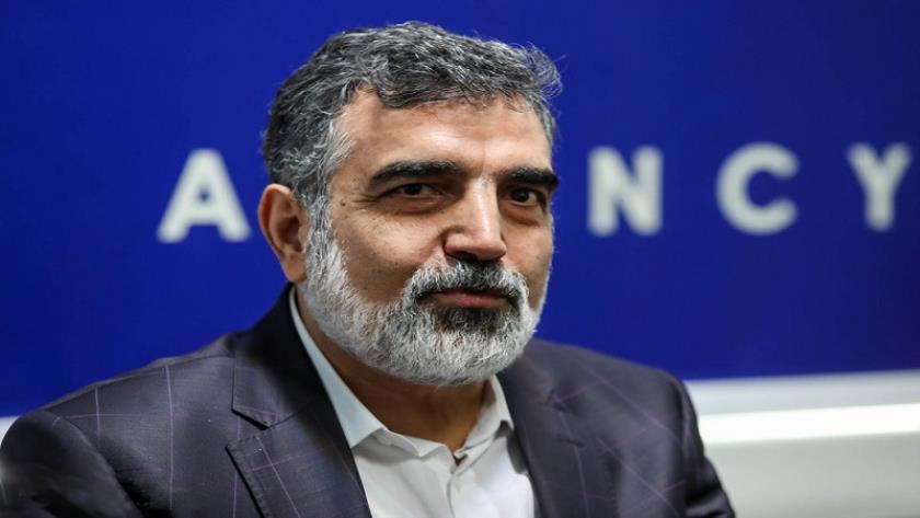 Iranpress: Beyond Bushehr: Iran and Russia Deepen Nuclear Cooperation