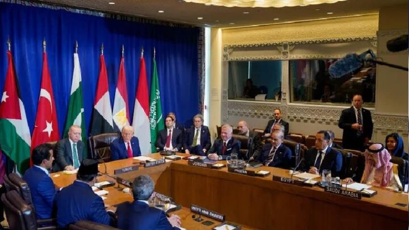 Iranpress: Arab, Islamic Nations Back Hamas