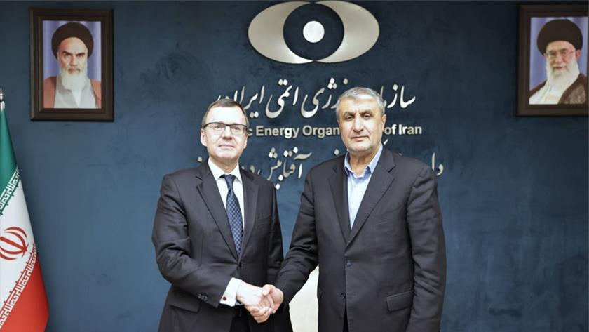 Iranpress: Iran, Russia Discuss Development of Small-Scale Reactors