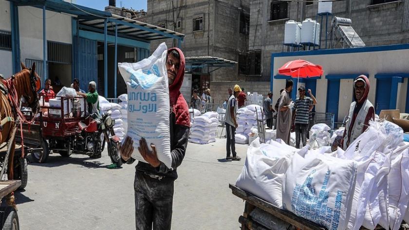 Iranpress: UN Agencies Warn of Dire Shortages in Gaza Despite Fragile Ceasefire