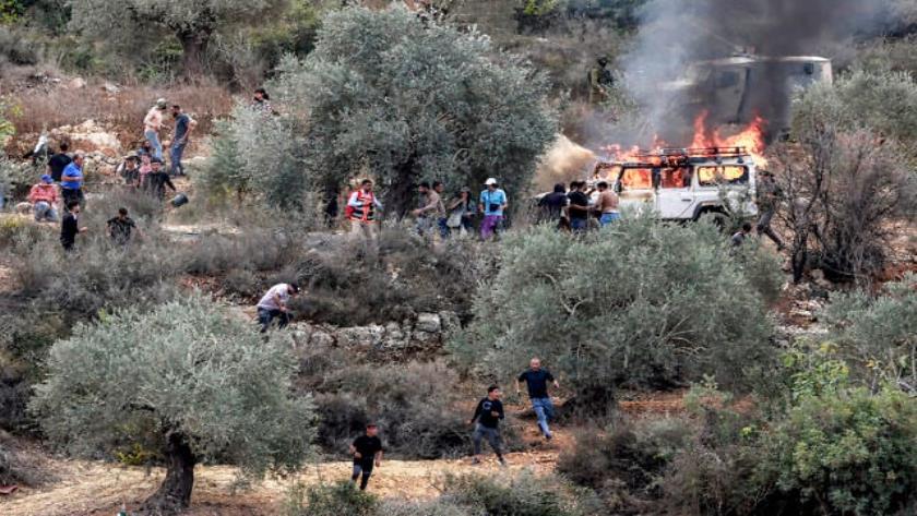 Iranpress: UN: Settler Attacks on Palestinians in West Bank Hit Record High
