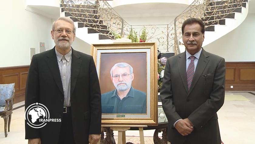 Iranpress: Iran and Pakistan Have Common Enemies, Including Israel: Pakistani Speaker